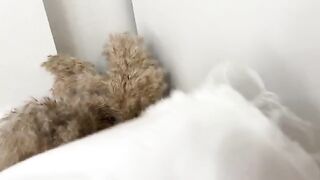Sniffed panties and fucked curva in a wet pussy with intense passion