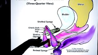 How to squirt? The ultimate guide by Mr. PussyLicking, featuring intense, wet orgasms and a ton of passion!