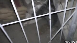 A hot blondie gets fucked by a stalker in a hardcore scene with intense action