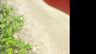 I picked up a girl in the park and fucked her