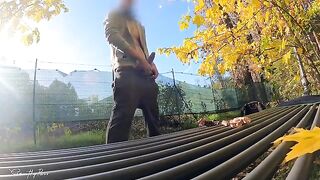 A risky dick flash in the park with a horny Italian MILF who can't resist