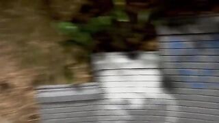 A woman meets a stranger in the park and has sex with him