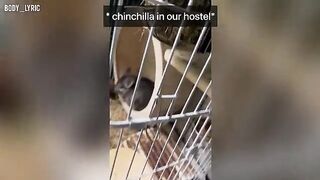 A little sex in a capsule hostel and then off to the big city