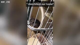 A little sex in a capsule hostel and then off to the big city