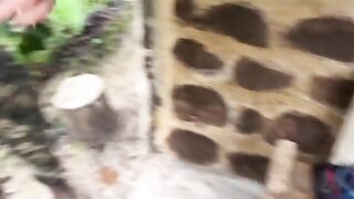 A couple is getting caught fucking in the jungle in Ecuador