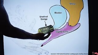 How to Squirt? The best tutorial on the internet!