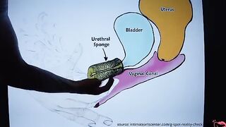 How to Squirt? The best tutorial on the internet!