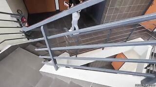 Two fake agents fucked a Chilean model with a perfect ass in an elevator and toilet