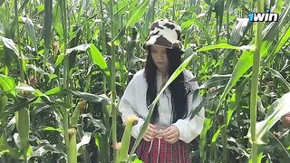 Security guard fines thief in cornfield, issues ticket on the spot