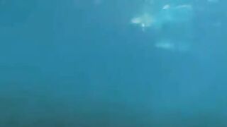 Two aqua-analists fucked at the bottom of the sea
