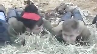 Brought the heifer to the barn and fucked in hay