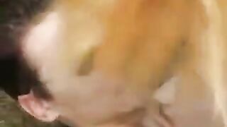 A cute girl was fucked in the park without any protection