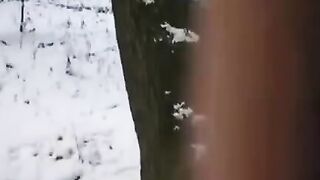 A lucky guy froze time with a girl and fucked her pussy hard