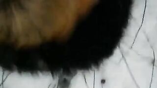 Winter street blowjob scene with a deep and intimate POV view - Eporn