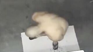 A naked man was filmed in the shower with a hidden camera