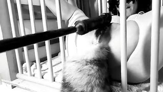 A day in the life of a Kitten: Ep.1 - Squirt on her tail, a wild ride!