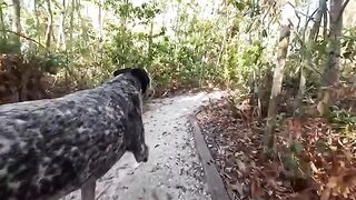 A hot guy had sex with his girl in a special outdoor spot