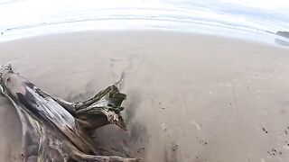The beach is always wet – from the water and because of the atmosphere